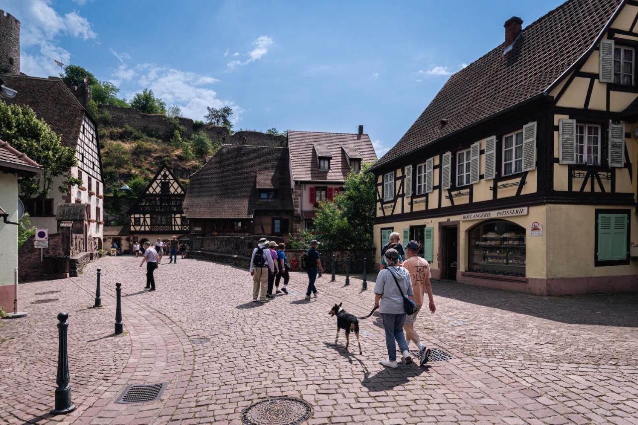 Gite Au Coeur Du Vieux Kaysersberg - Parking Prive & Wifi Kaysersberg-Vignoble Exterior foto